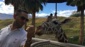 Тихая связь