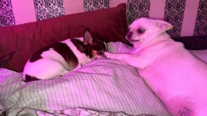 Всем наидобрейшего утречка и чудесного начала денечка.