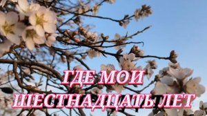 НУ НЕ ШЫШНАДЦАТЬ!Жизнь и страсть кубанских станичников.