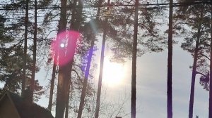 БЛОГЕРСТВО ЭТО ДОРОГА В НОВЫЙ МИР