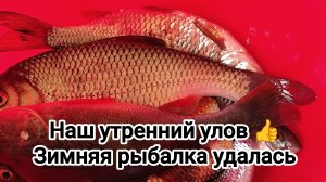 Утренний улов. Зимняя рыбалка удалась