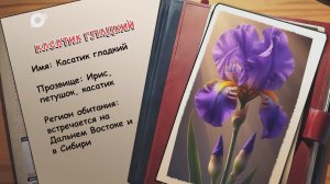 Агент биосферы / Касатик гладкий / 23.03.26