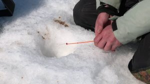 Рыболовы Приамурья поборолись за победу на чемпионате по ловле на мормышку со льда