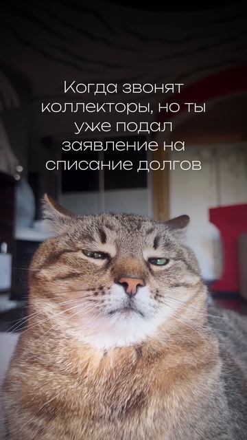 Когда звонят коллекторы