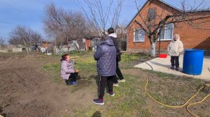 Мы в Александровке. Луговая клубника. Ремонт, покой только снится...