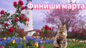 Финиши марта. ТЭГ канала @Мой творческий мир