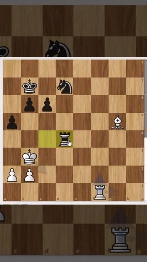 У чёрных под боем 2-е ладьи, однако чёрные изобретательно выигрывают