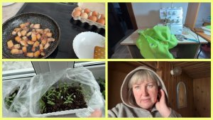 Вкусный ЗАВТРАК 🍳. День СУРКА😅