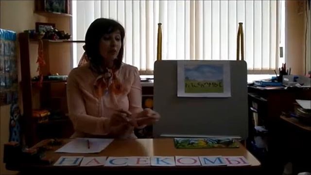 Коррекционное занятие по развитию речи по теме 