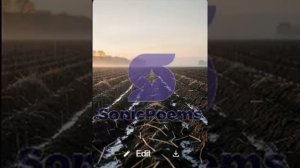 Сергей Есенин — О пашни, пашни, пашни (вар2)