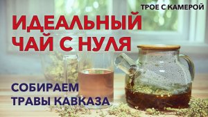 Идеальный чай с нуля. Собираем травы Кавказа. Жизнь в горной деревне. Трое с камерой.