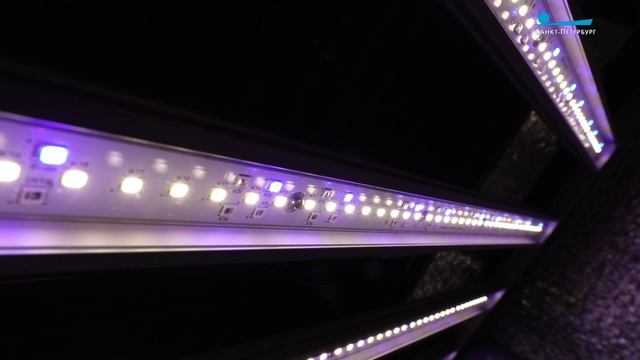 Высота вкуса. Как работают вертикальные фермы