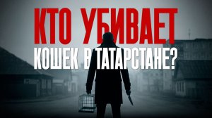 Кошачий палач: в Татарстане орудует живодер