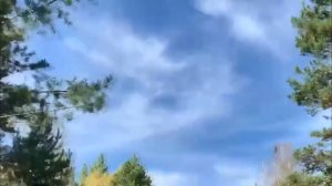 СИНЕМОРЬЕ 2025