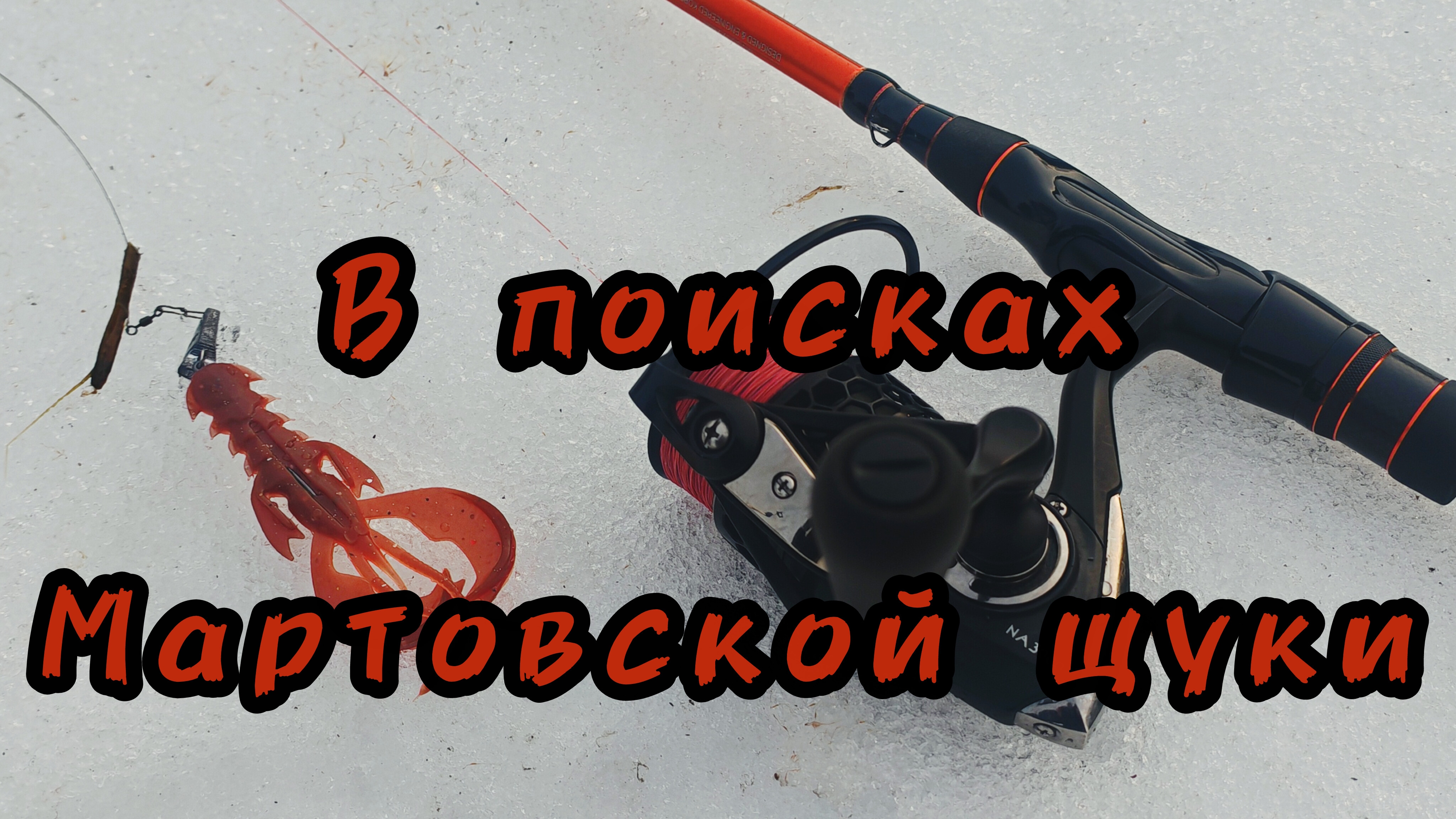 264- Поиск Щуки в марте (17.03.2026)