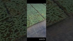 просто обычный день)