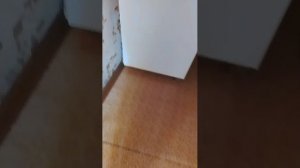 краш тест редми а5