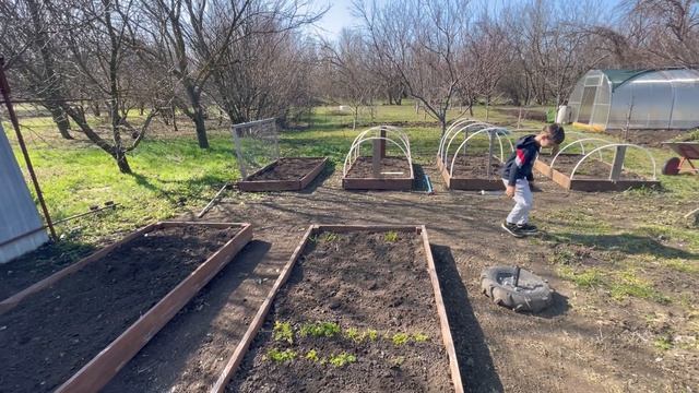 «Я не ждала ничего особенного… но этот день удивил»