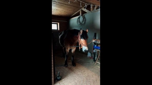 Поездка на #Экоранчо на #Baw212