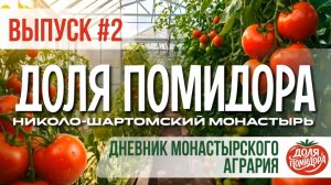 ДОЛЯ ПОМИДОРА. 2 выпуск