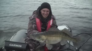 ЛОВЛЯ СУДАКА В ЯРОСЛАВСКОЙ ОБЛАСТИ