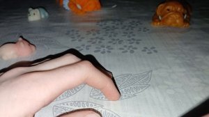 VLOG др сквиши Собачки 🥳🎂🎁