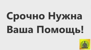 Нужна Ваша Помощь.