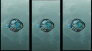 CASAMANCE - PANORAMAS - 01/2025