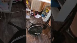 я убераюсь дома