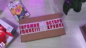 Обзор посылки с ОЗОНа