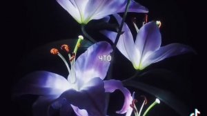 одинокая ночами засыпаешь