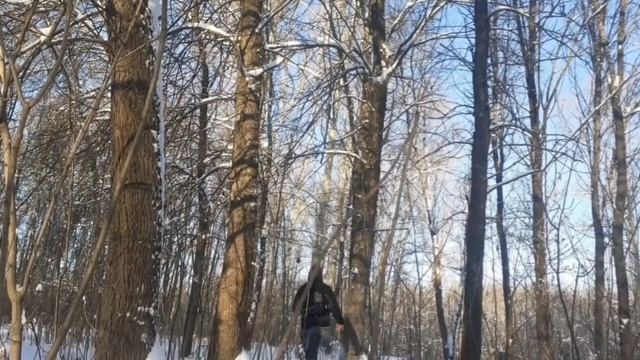 в лесу ЧАСТЬ 48 смотреть онлайн