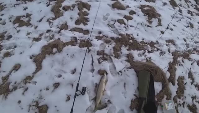 Крутая Зимняя Рыбалка 2026. Поймал много щук. Лучший поклёв в зимний сезон. Рыбалка Онлайн 2026