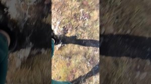 Искупался весной😁 #по-купался #водичкатёплая