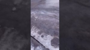 помогите комикс (его зовут барсик)😿