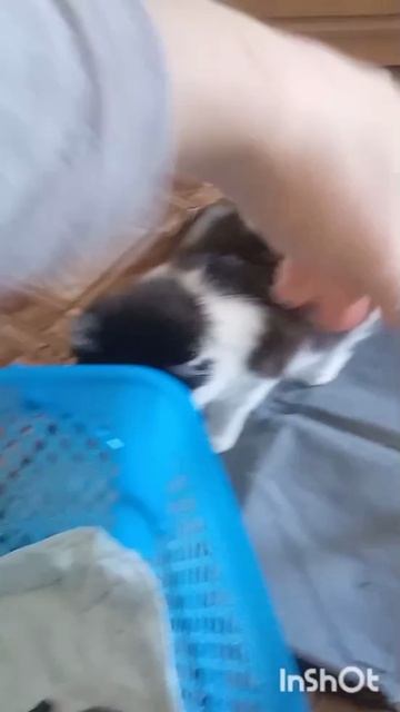 карусель обратное эффект