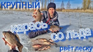 Карась не влазит в лунку! Последний лед. Ловля крупного карася со льда!