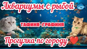 Аквариумы с рыбой 🐟🐠🪸/Мини прогулка по городу❤️
