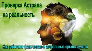 Как работают физические и астральные органы чувств. Проверка Астрала на реальность ✅ - обсуждаем