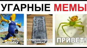 Лютые мемы. Пошел ты в... ГОРКУ ! )))