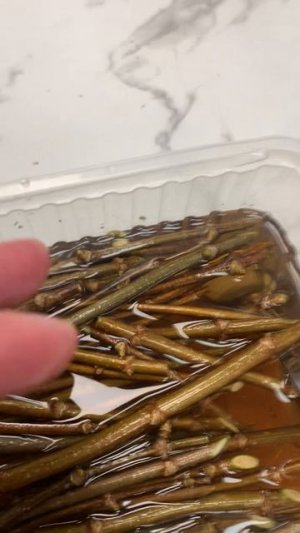 Черенкование метельчатой гортензии весной, или как размножить гортензию древесными черенками. Фантом