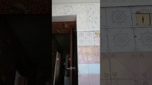 Дегустация Альпен Голд