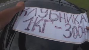 Продажа ягод на трассе как это на самом деле