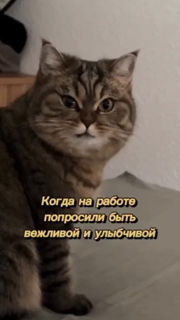 Очень стараюсь 😅