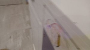 67.  я. сегодня кбираюсь на столе.  !