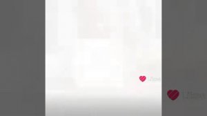 Ростикс эдит