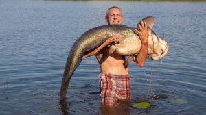 Проверка Квоков для ловли сома от Олега Комизорова