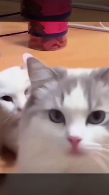 Молодой человек, здесь запрещена съемка, уберите камеру😡