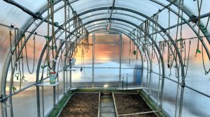 Санобработка теплицы.