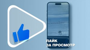 ЛАЙК ЗА ПРОСМОТР / Ямбургские девушки-блогеры задают тренд на работу вахтовым методом